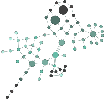 layout intro organic