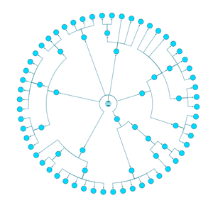layout intro radial dendrogram